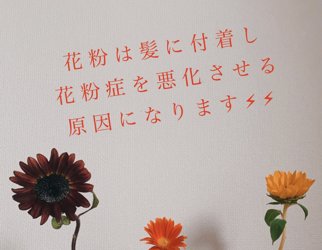 花粉から髪を守ろう!【eMii.やまもと】